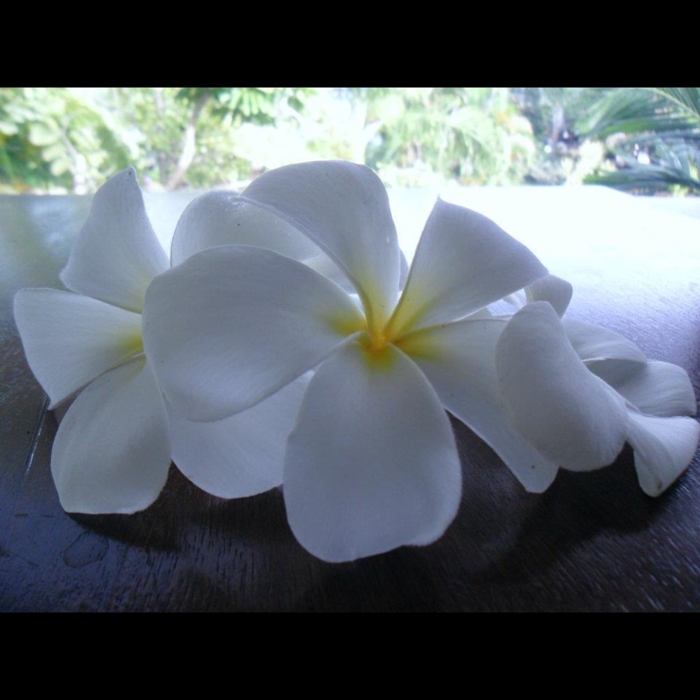 Meet your Posher, Kyoko